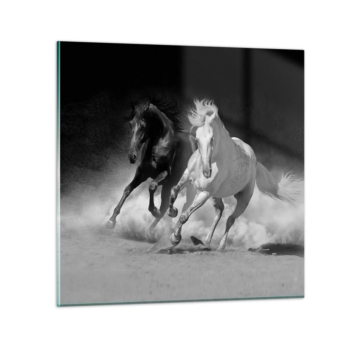 Glasbild - Bild auf glas - Galopp der Freiheit - 40x40 cm