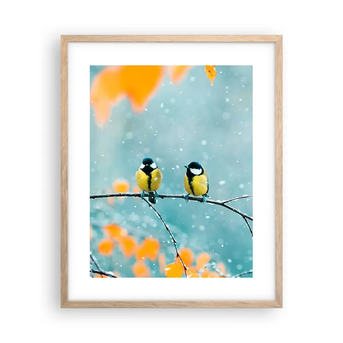 Poster in einem Rahmen aus heller Eiche - Vogelklatsch - 40x50 cm