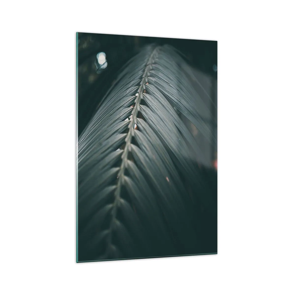 Glasbild - Bild auf glas - Nahaufnahme eines dunkel getönten Palmblattdetails - 70x100cm - Die Präzision der Natur - Moderne Wanddekoration für Wohnzimmer und Schlafzimmer ARTTOR