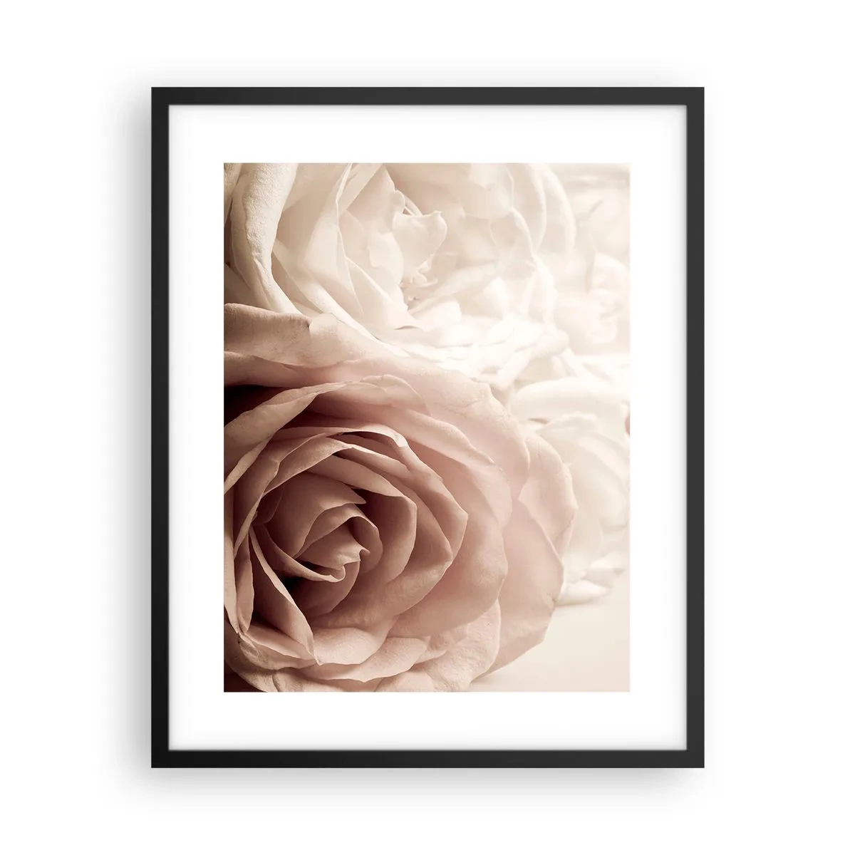 Poster in einem schwarzem Rahmen - Im Herzen der Rose - 40x50 cm