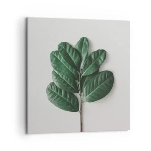 Bild auf Leinwand - Leinwandbild - Eine Zeichnung purer Natur - 50x50 cm