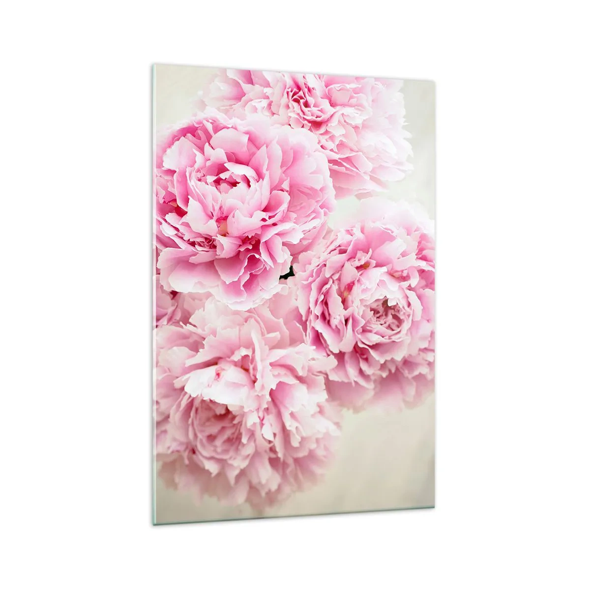 Glasbild - Bild auf glas - Ein Strauß rosa Pfingstrosen auf hellem Hintergrund - 70x100cm - In rosa Glamour - Moderne Wanddekoration für Wohnzimmer und Schlafzimmer ARTTOR