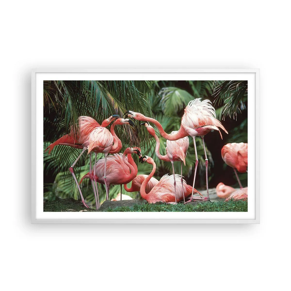 Poster in einem weißen Rahmen - Nachmittagsklatsch - 91x61 cm