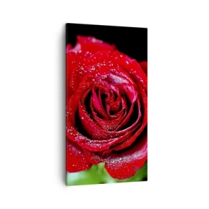 Bild auf Leinwand - Leinwandbild - Das ist Liebe - 45x80 cm