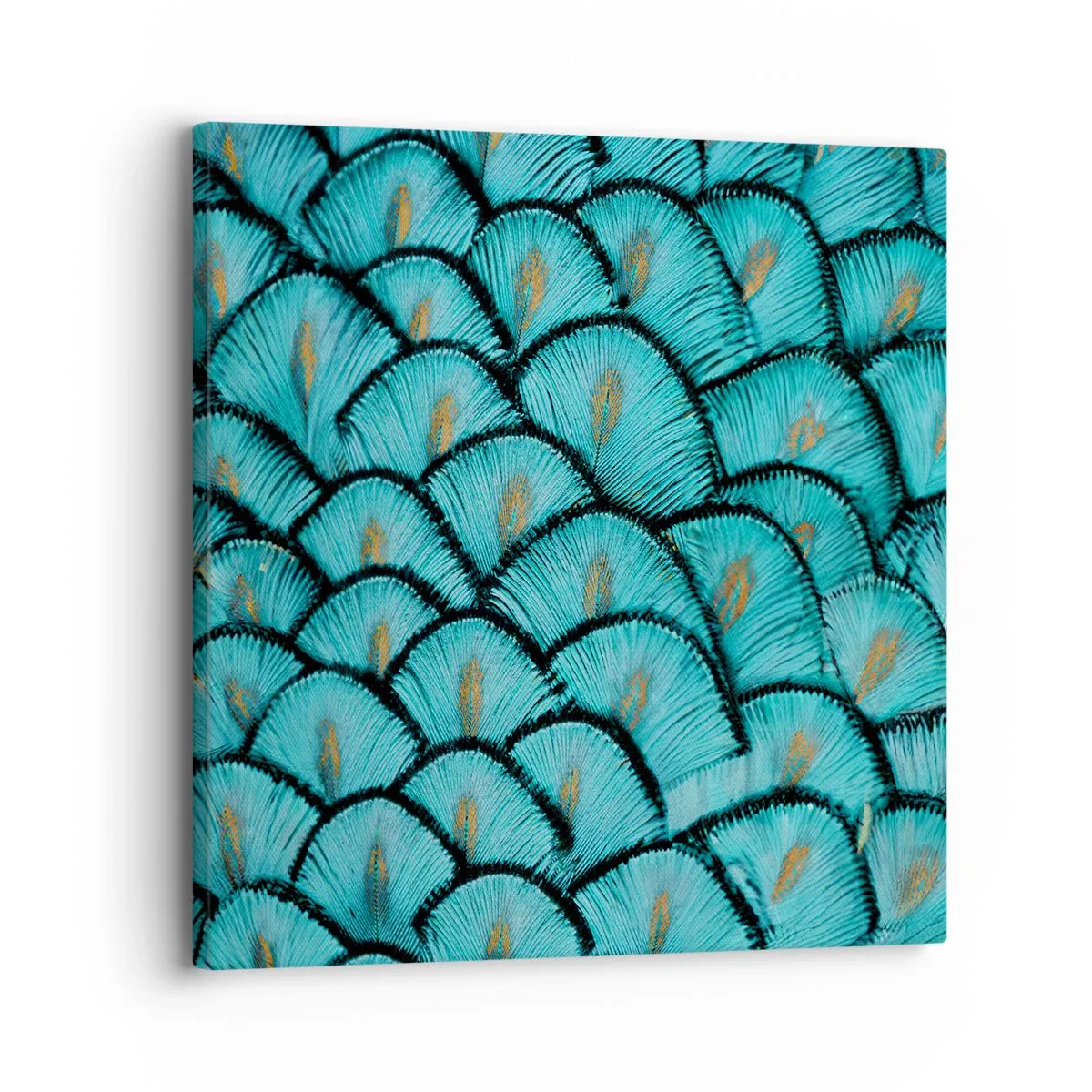 Bild auf Leinwand - Leinwandbild - Große Federgala - 30x30 cm