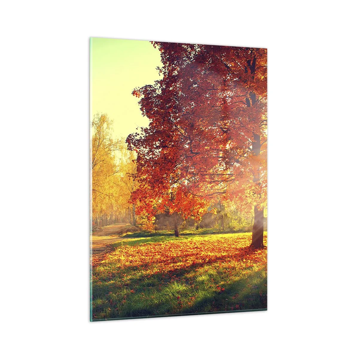 Glasbild - Bild auf glas - Herbstallee mit Sonnenstrahlen - 50x70cm - Unhöflich ist schön - Moderne Wanddekoration für Wohnzimmer und Schlafzimmer ARTTOR