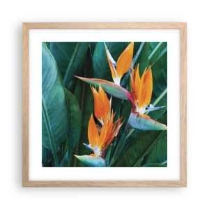 Poster in einem Rahmen aus heller Eiche - Ist es eine Blume oder ist es ein Vogel? - 40x40 cm