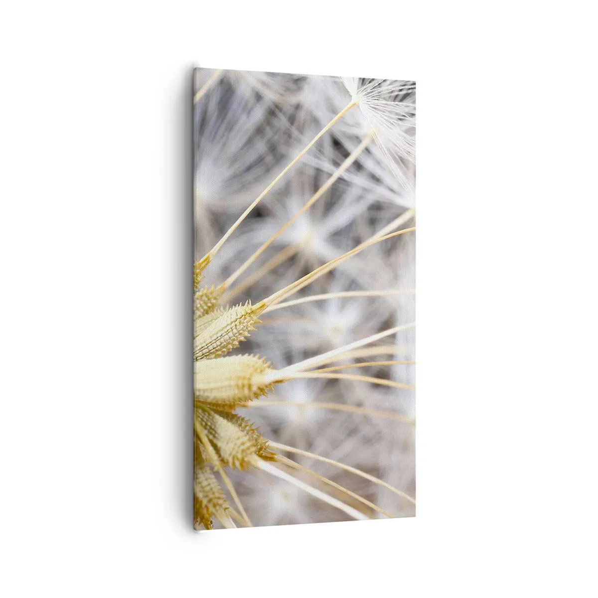 Bild auf Leinwand - Leinwandbild - Kurz vor dem Abflug - 65x120 cm