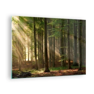 Glasbild - Bild auf glas - Sonnenstrahlen scheinen durch die Bäume im Wald - 70x50cm - Strahlend an einem Frühlingsmorgen - Moderne Wanddekoration für Wohnzimmer und Schlafzimmer ARTTOR