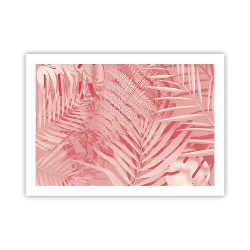 Poster - Rosa Konzept - 70x50 cm