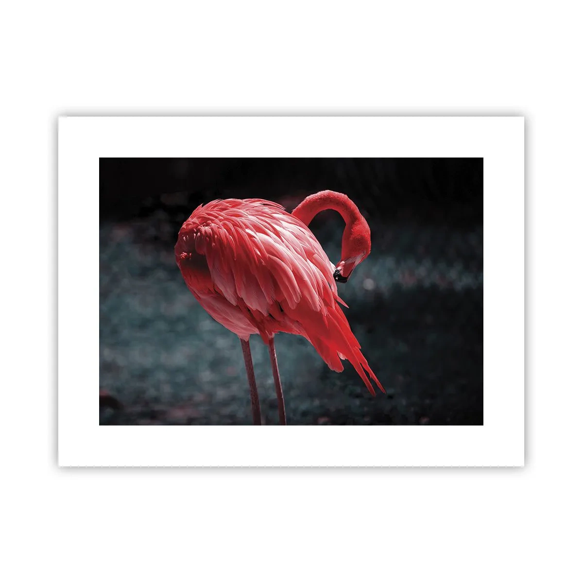 Poster - Ein purpurrotes Gedicht der Natur - 40x30 cm