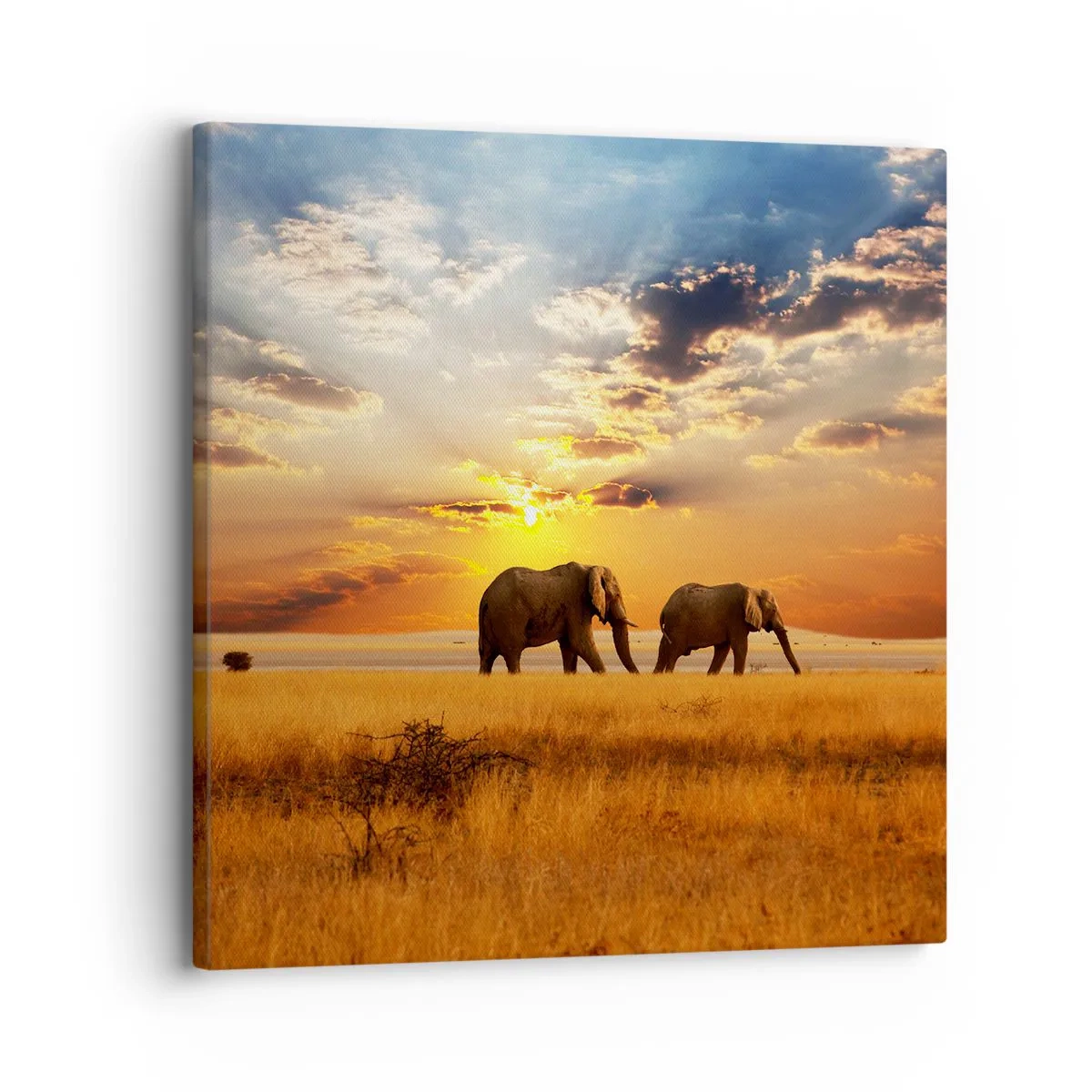 Bild auf Leinwand - Leinwandbild - Familienspaziergang - 30x30 cm