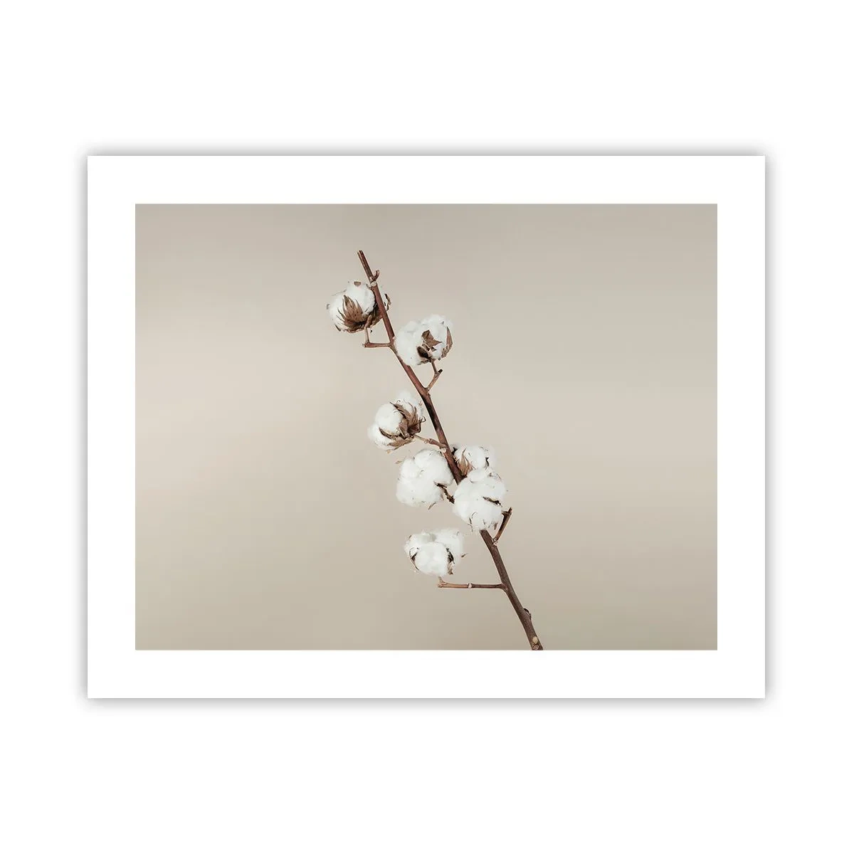 Poster - An der Quelle der Weichheit - 50x40 cm