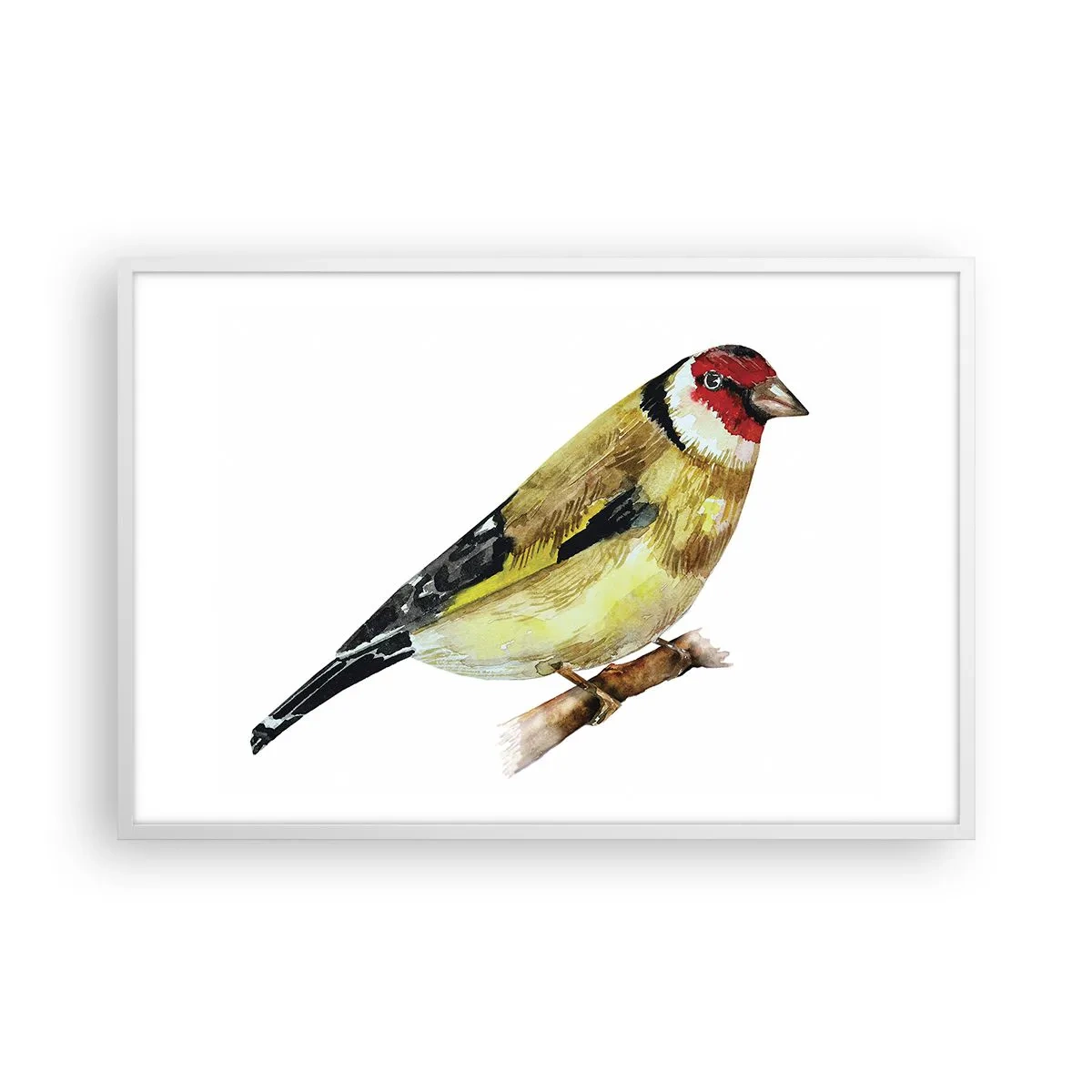 Poster in einem weißen Rahmen - Vogelporträt - 91x61 cm