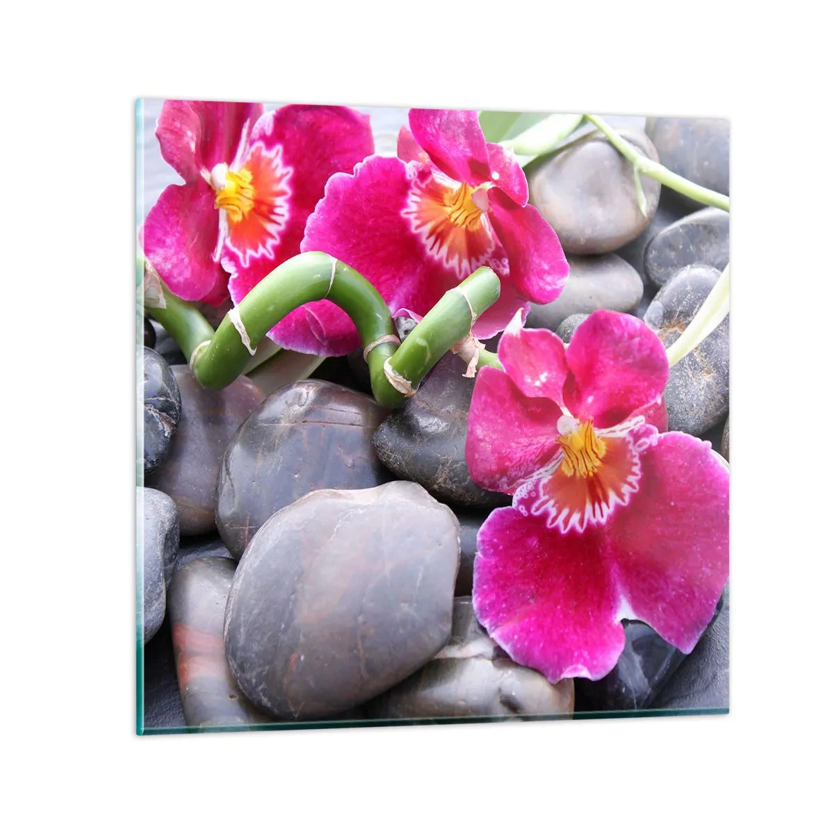 Glasbild - Bild auf glas - Kühlen und erhitzen - 60x60 cm