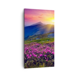 Bild auf Leinwand - Leinwandbild - … Und drumherum duftet es nach Latschenkiefer und dem Duft von Kräutern - 45x80 cm