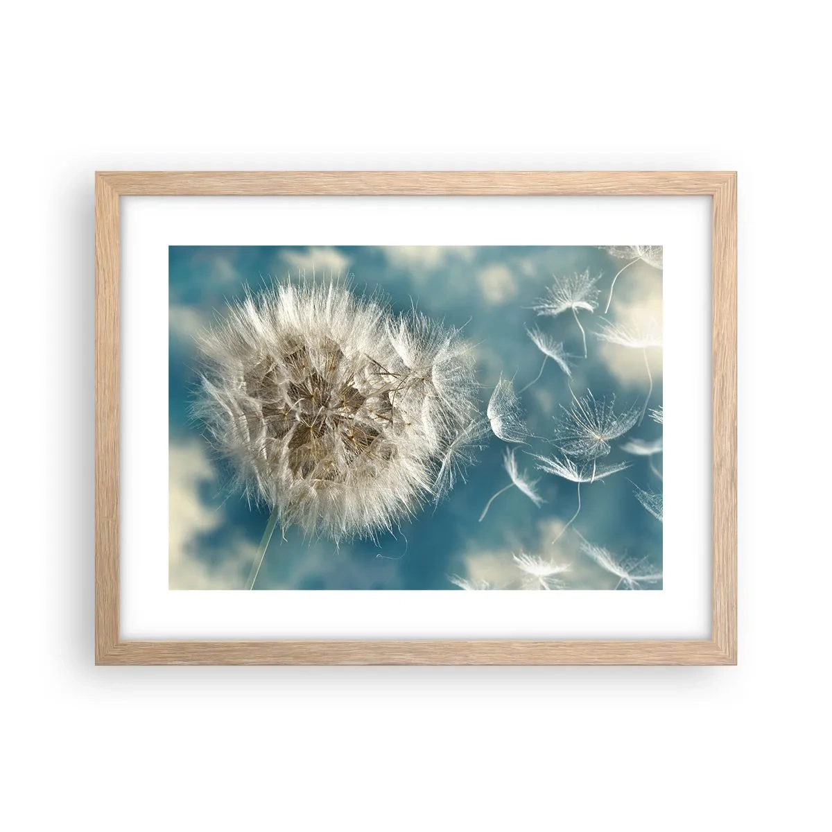 Poster in einem Rahmen aus heller Eiche - Engelsatem - 40x30 cm