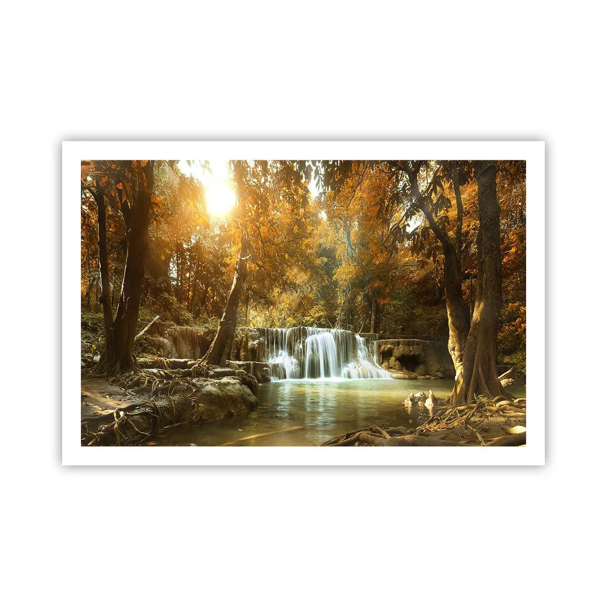 Poster - Parkkaskade - 91x61 cm
