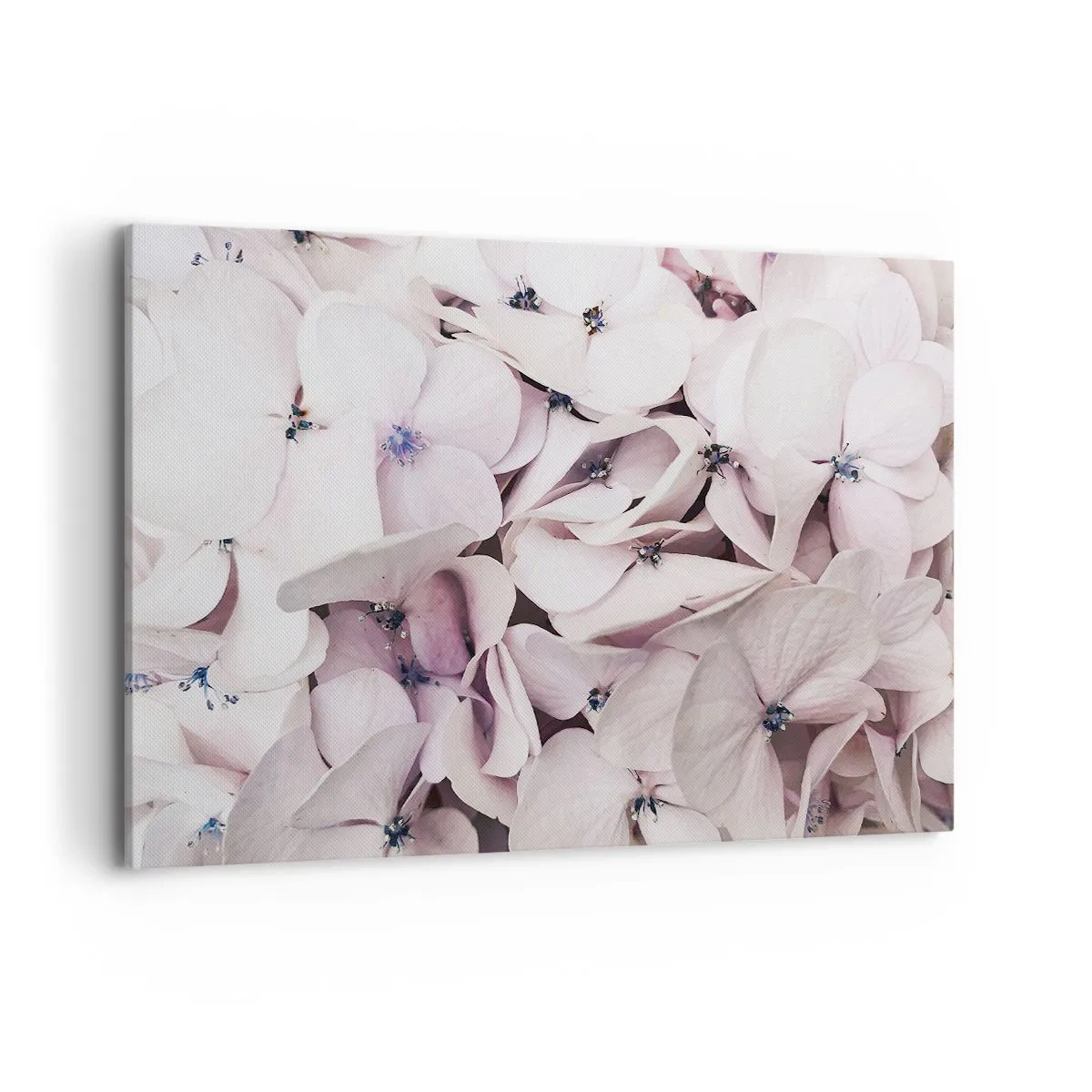 Bild auf Leinwand - Leinwandbild - Zarte weiße Hortensien in Pastelltönen - 120x80cm - In einer Blumenflut - Moderne Wanddekoration für Wohnzimmer und Schlafzimmer ARTTOR