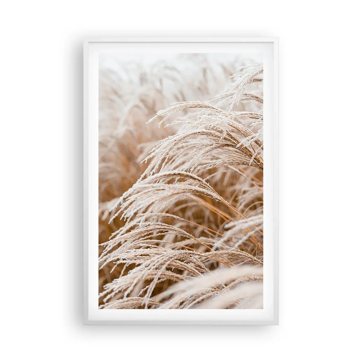 Poster in einem weißen Rahmen - Verbeuge dich vor der Herbstsonne - 61x91 cm