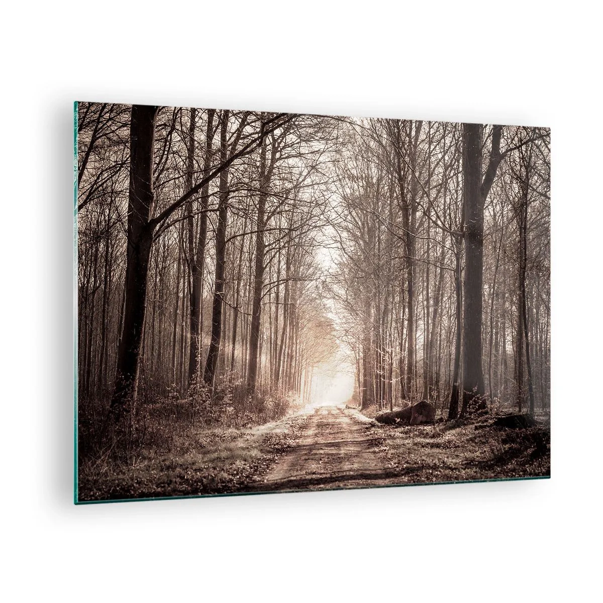 Glasbild - Bild auf glas - Waldweg im Morgennebel - 70x50cm - Waldkathedrale - Moderne Wanddekoration für Wohnzimmer und Schlafzimmer ARTTOR