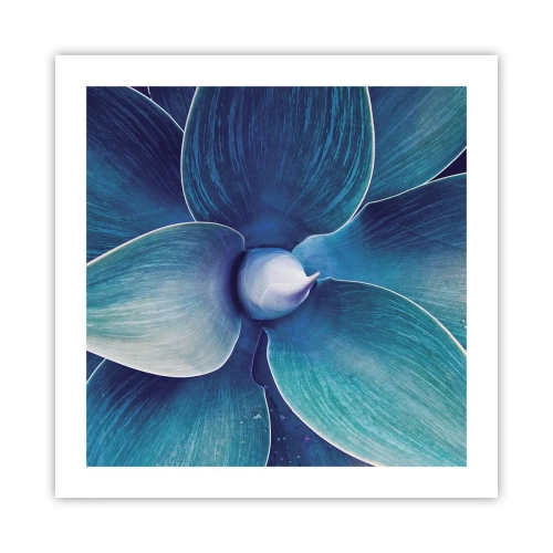 Poster - Bläulich vom Himmel - 50x50 cm