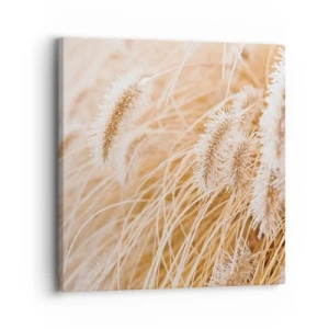 Bild auf Leinwand - Leinwandbild - Das goldene Rauschen des Grases - 30x30 cm