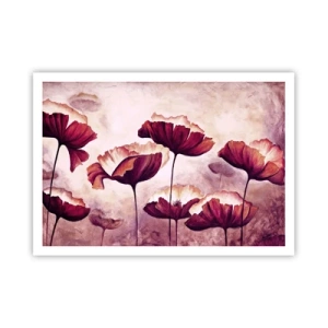 Poster - Blumen in Rot- und Weißtönen auf dezentem Hintergrund - 100x70cm - Rotes und weißes Blütenblatt - Moderne Wanddekoration für Wohnzimmer und Schlafzimmer ARTTOR