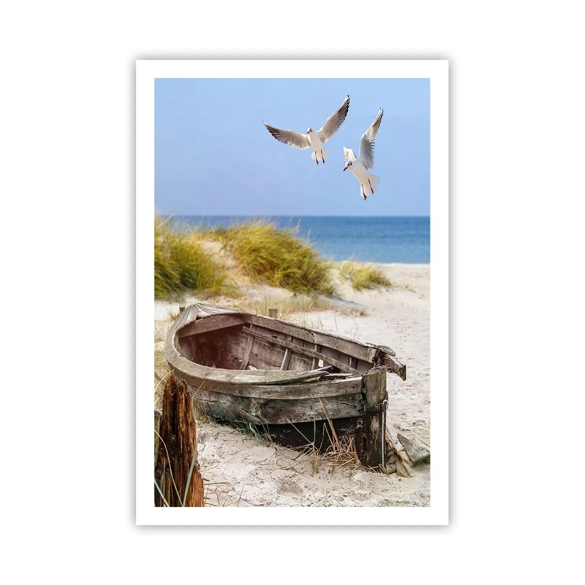 Poster - In Wind gebadet - 61x91 cm