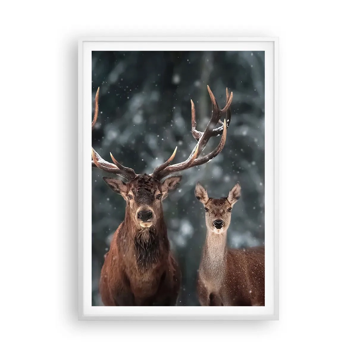 Poster in einem weißen Rahmen - Herr des Waldes mit seiner Frau - 70x100 cm