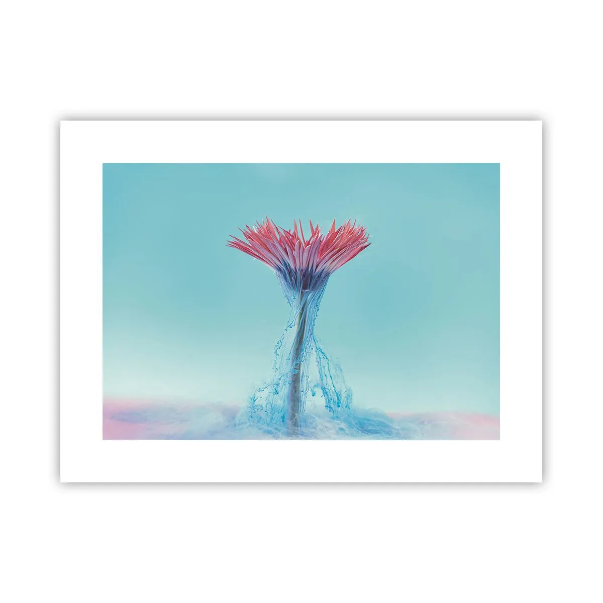 Poster - In einer belebenden Umarmung - 40x30 cm