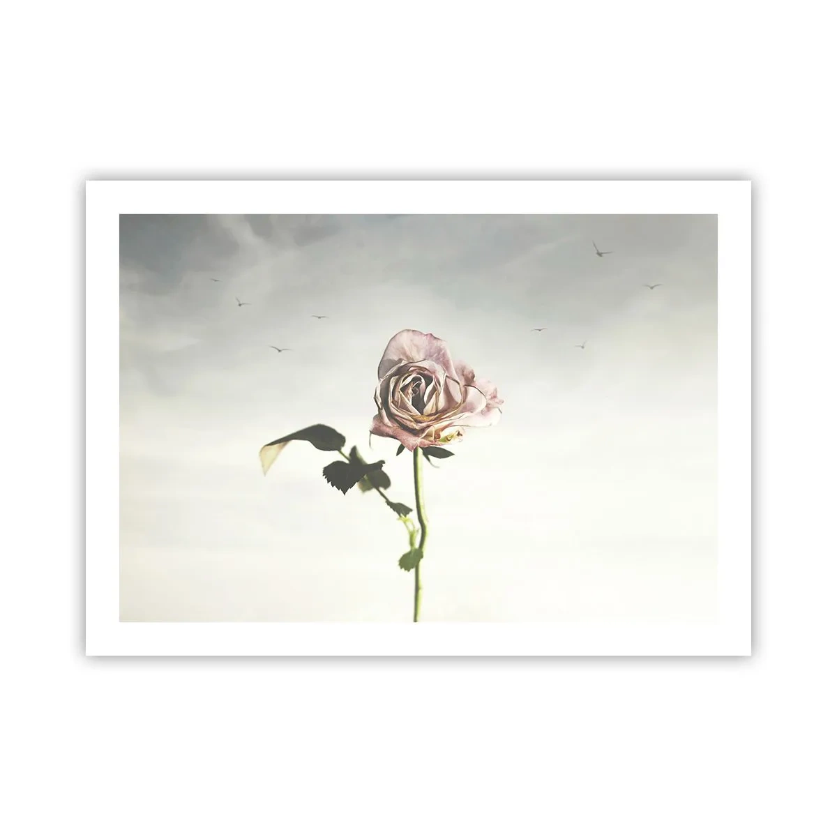 Poster - Begrüßung des Frühlings - 70x50 cm