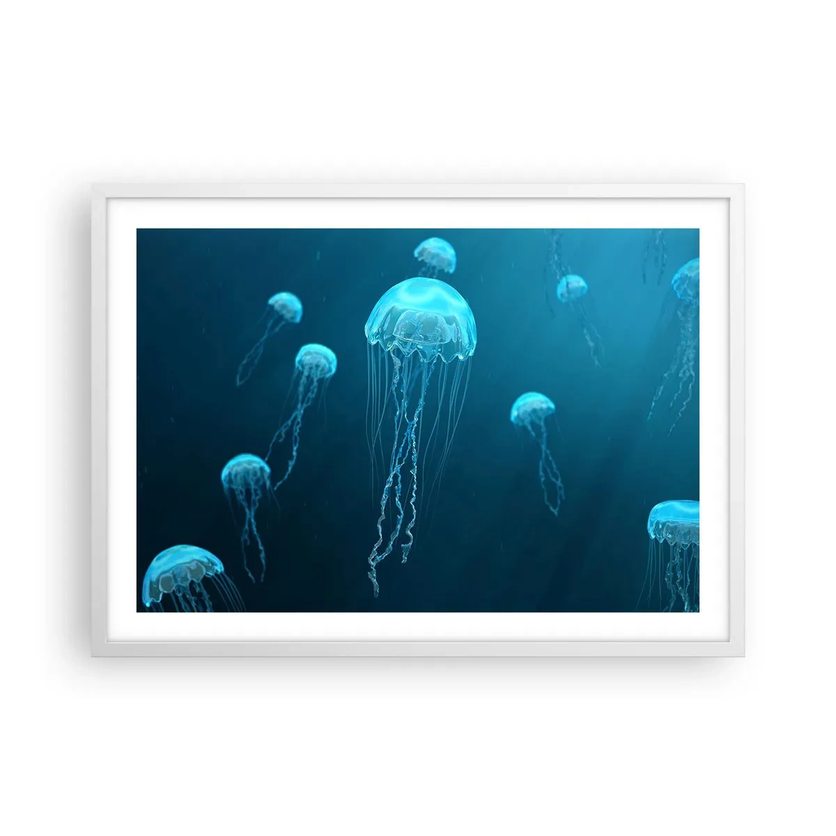Poster in einem weißen Rahmen - Ozeantanz - 70x50 cm