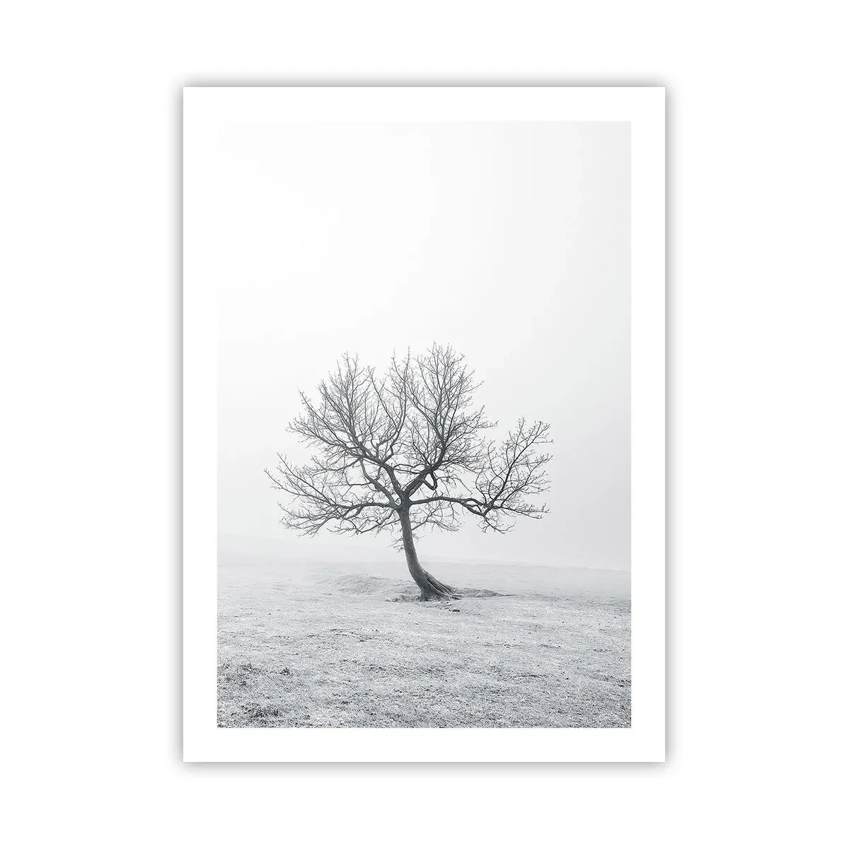 Poster - Eine minimalistische Landschaft mit einem einsamen Baum in einer Winterkulisse. - 50x70cm - Gegen das Nichts - Moderne Wanddekoration für Wohnzimmer und Schlafzimmer ARTTOR