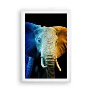 Poster in einem weißen Rahmen - Exzentrisch, kein Verrückter - 61x91 cm