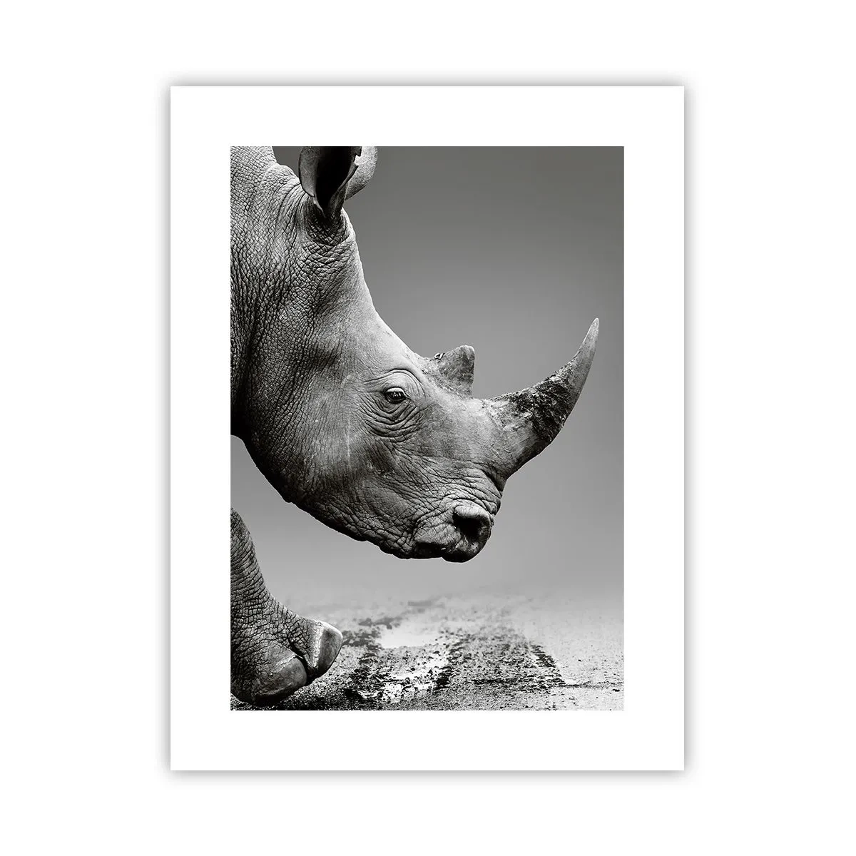 Poster - Unaufhaltsame Stärke - 30x40 cm
