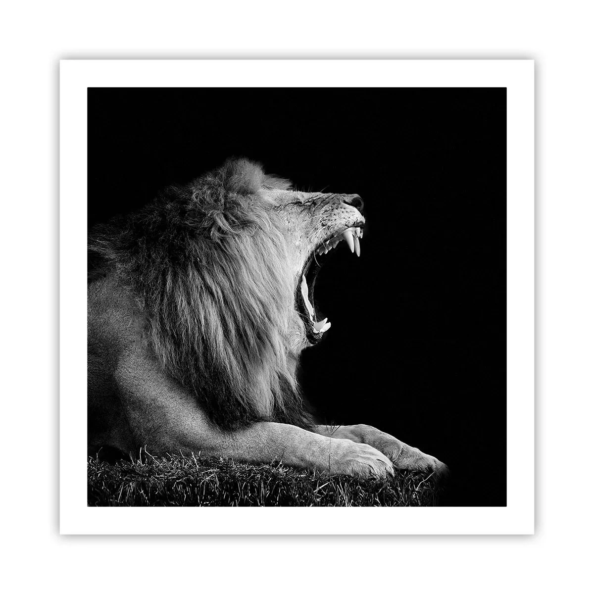 Poster - Ohne Zweifel - 60x60 cm