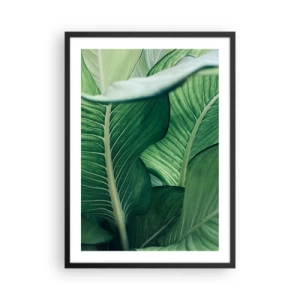 Poster in einem schwarzem Rahmen - Nahaufnahme der grünen Blätter einer Pflanze - 50x70cm - Intensiv grünes Leben - Moderne Wanddekoration für Wohnzimmer und Schlafzimmer ARTTOR