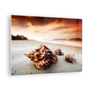 Glasbild - Bild auf glas - Muscheln am Strand bei Sonnenuntergang - 70x50cm - Ausgestoßene von Wellen - Moderne Wanddekoration für Wohnzimmer und Schlafzimmer ARTTOR