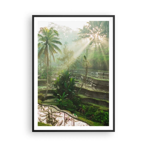 Poster in einem schwarzem Rahmen - In der Sonne aufwachsen - 70x100 cm