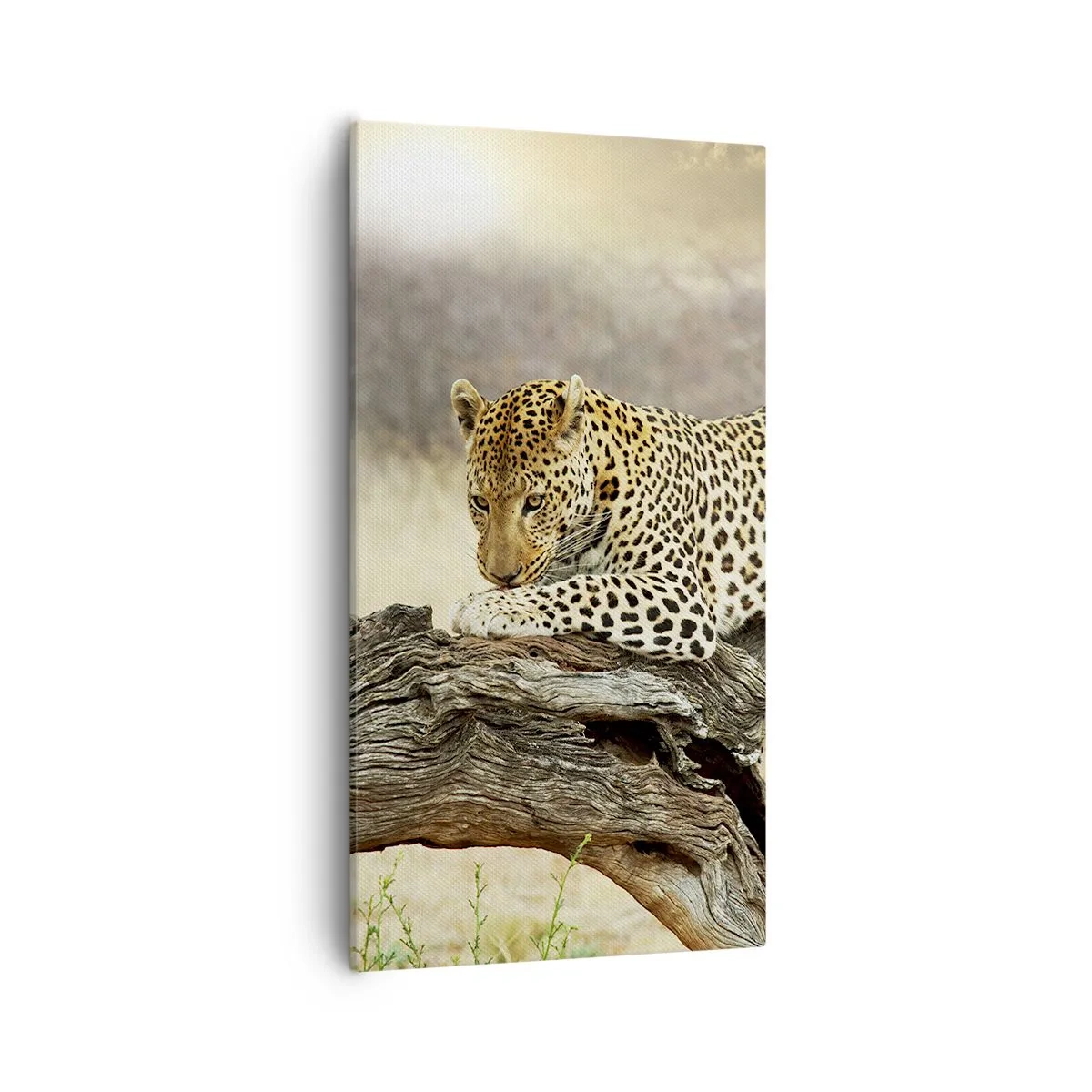 Bild auf Leinwand - Leinwandbild - Ich gehe meine eigenen Wege - 55x100 cm