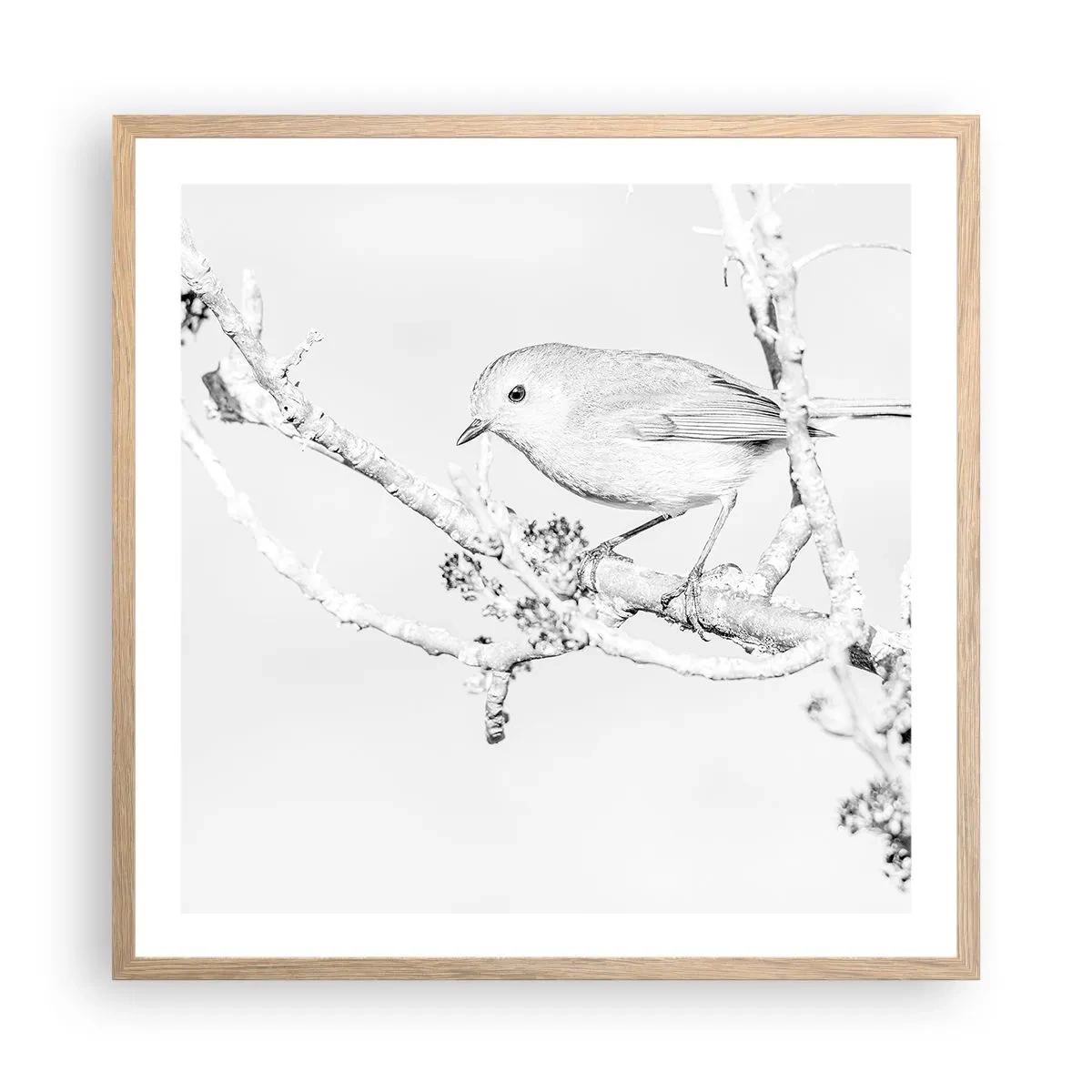 Poster in einem Rahmen aus heller Eiche - Wintermorgen - 60x60 cm