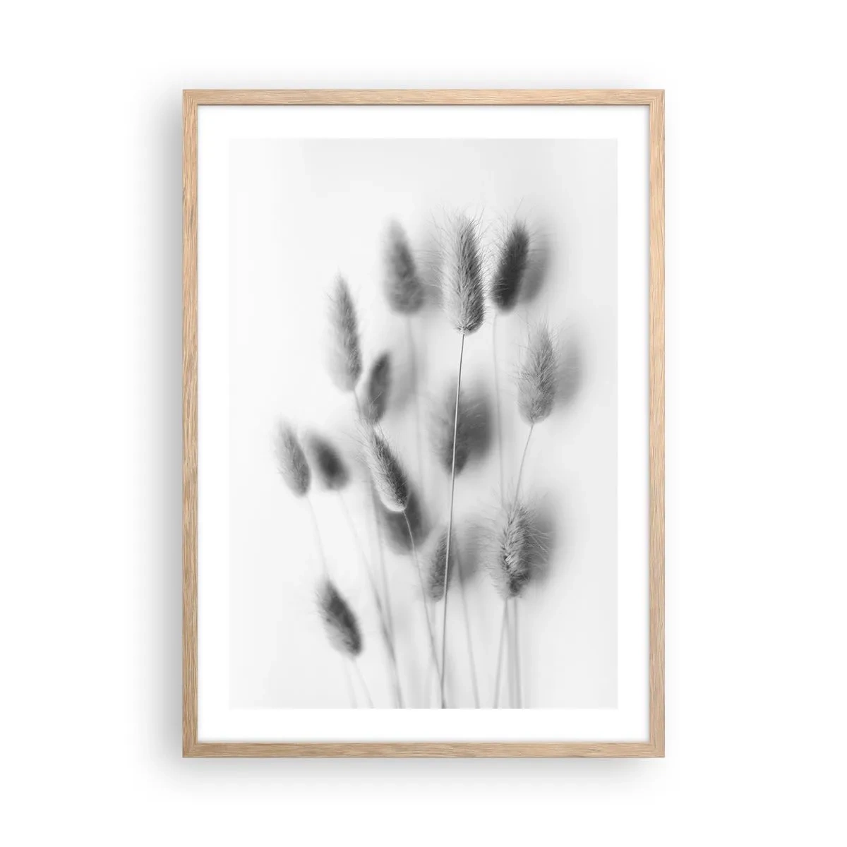 Poster in einem Rahmen aus heller Eiche - Eure flauschige Grashoheit - 50x70 cm