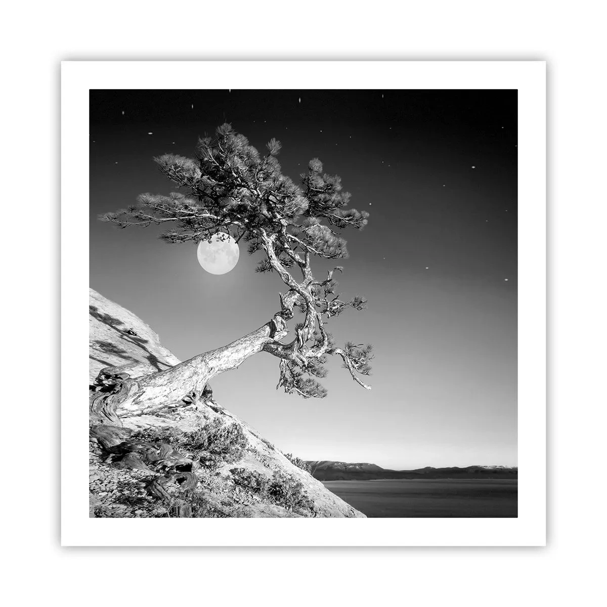 Poster - Siegreiche Kämpferin - 60x60 cm