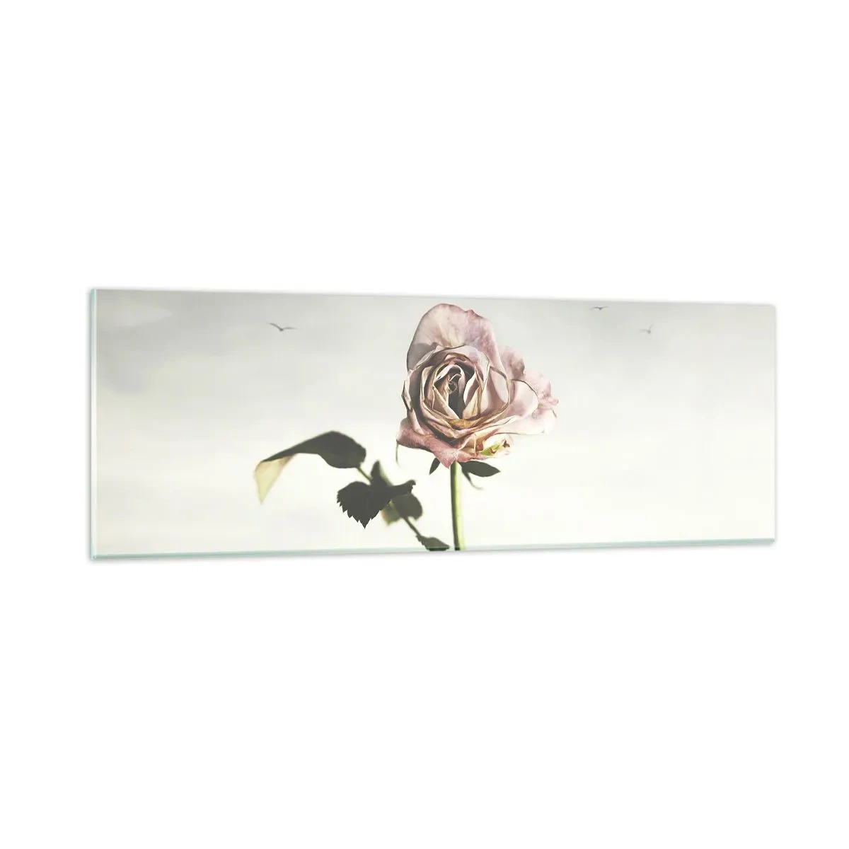 Glasbild - Bild auf glas - Begrüßung des Frühlings - 90x30 cm