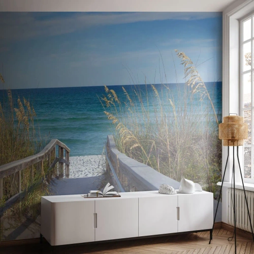 Selbstklebende Fototapete Deluxe Sticker - In der Sonne, im Wind - Landschaft, Meeresdüne, Meer - 350x256 cm