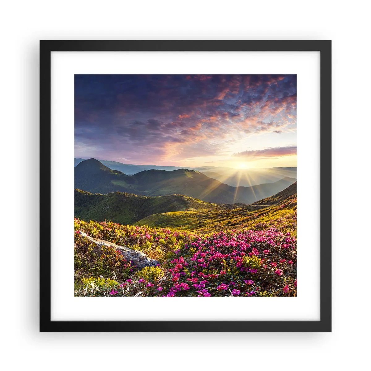 Poster in einem schwarzem Rahmen - Frische am Bergmorgen - 40x40 cm