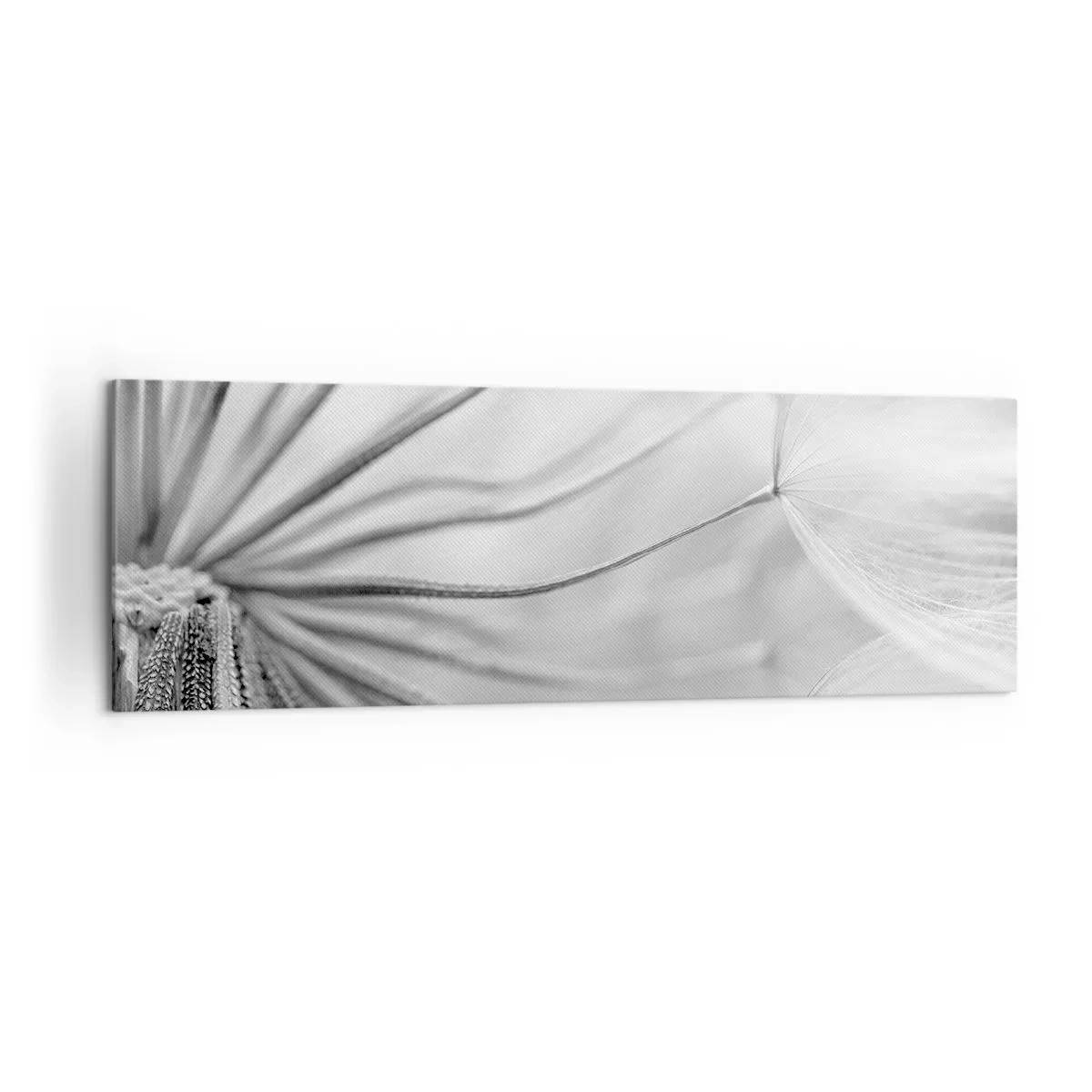 Bild auf Leinwand - Leinwandbild - Zarte Pusteblumen in Schwarz-Weiß-Tönen - 160x50cm - Löwenzahn, Drachen - Moderne Wanddekoration für Wohnzimmer und Schlafzimmer ARTTOR