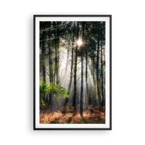 Poster in einem schwarzem Rahmen - Waldgebiet - 61x91 cm