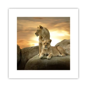 Poster - Königliche Majestät - 30x30 cm